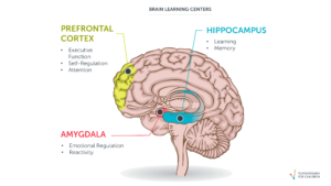 The Science Behind Student Behavior
